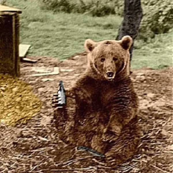 A bottle of beer. He drank it with the men, and this is the story people tell first.