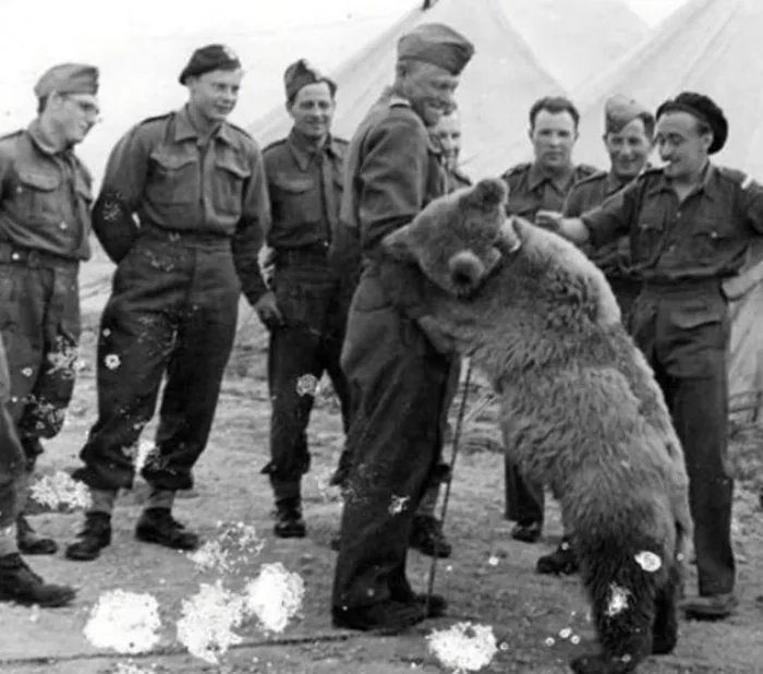 Wrestling a soldier. The whole company’s favourite pastime.